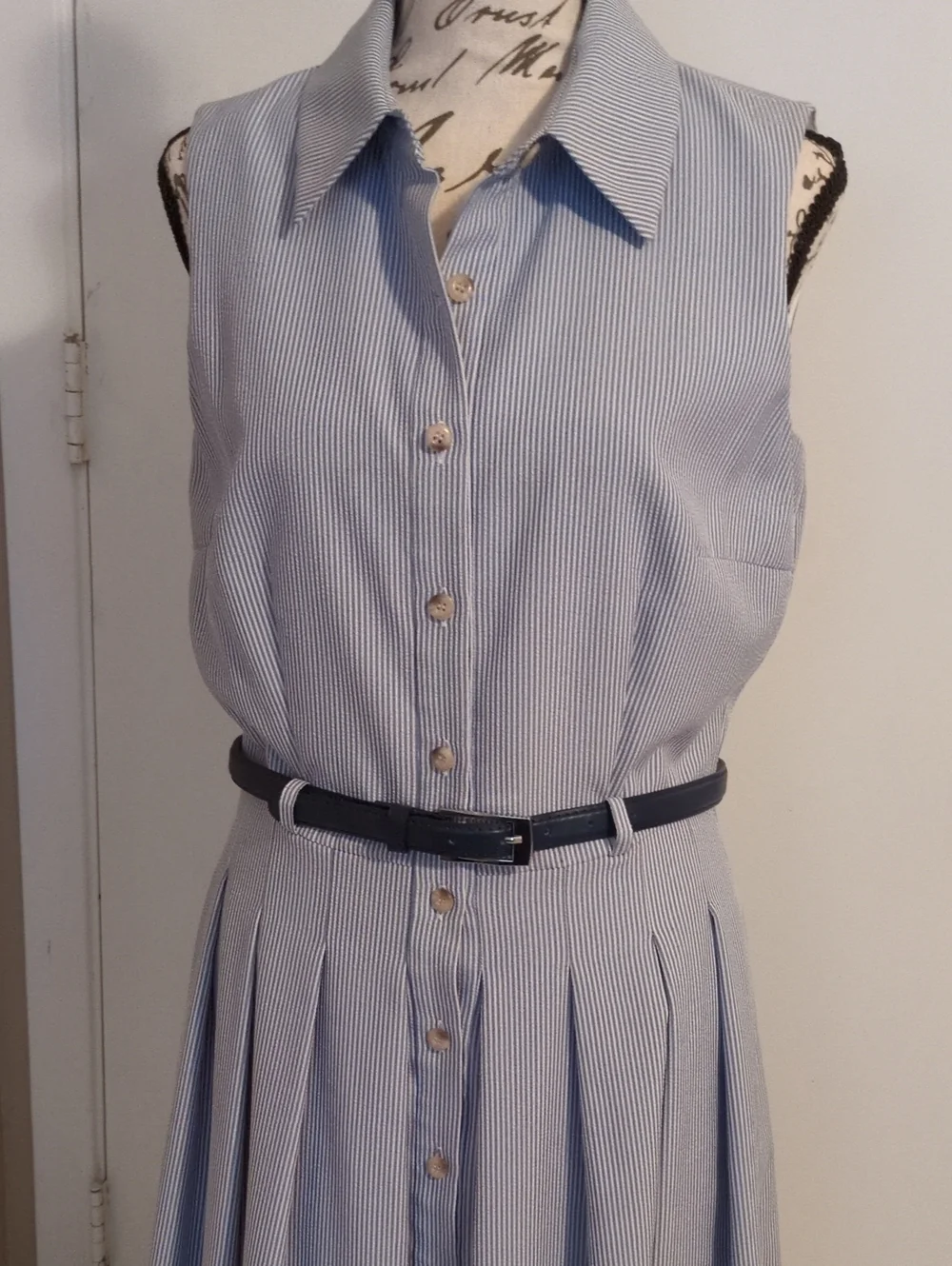 Sleeveless Blue Striped Button-Front Dress with Belt 6 Lined